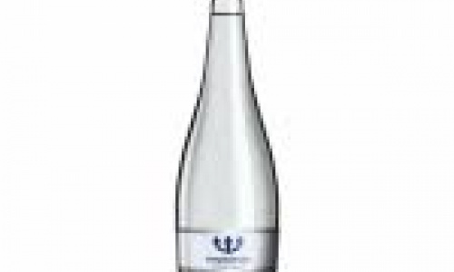 Natūralus mineralinis vanduo NEPTŪNAS, gazuotas, 330 ml